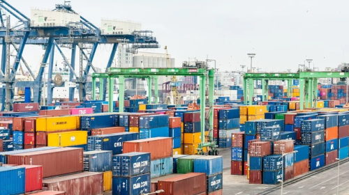 průzkum export 2021