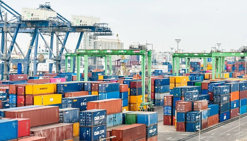 průzkum export 2021