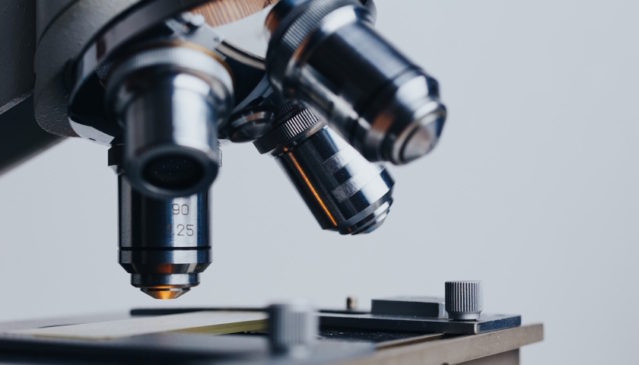 ČR na evropské úrovni dominuje ve výrobě a vývozu elektronových mikroskopů