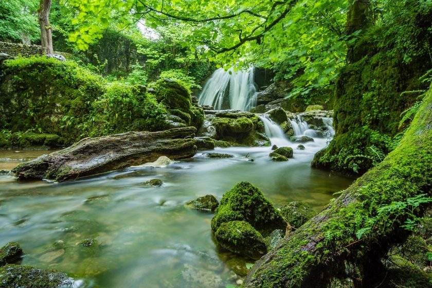 B2B NETWORK NEWS nature water