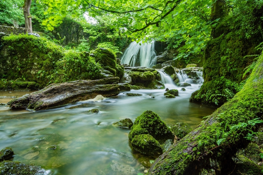 B2B NETWORK NEWS nature water