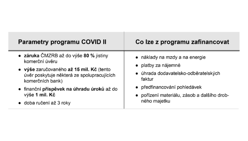 COVID II