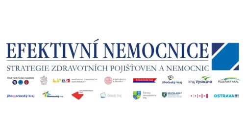 Efektivní nemocnice 2019