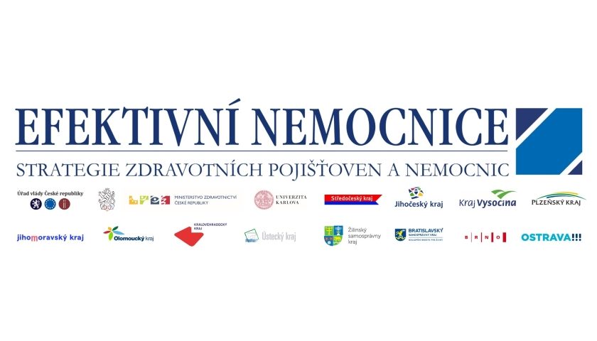 Efektivní nemocnice 2019