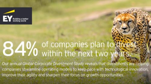 Global Corporate Divestment Study