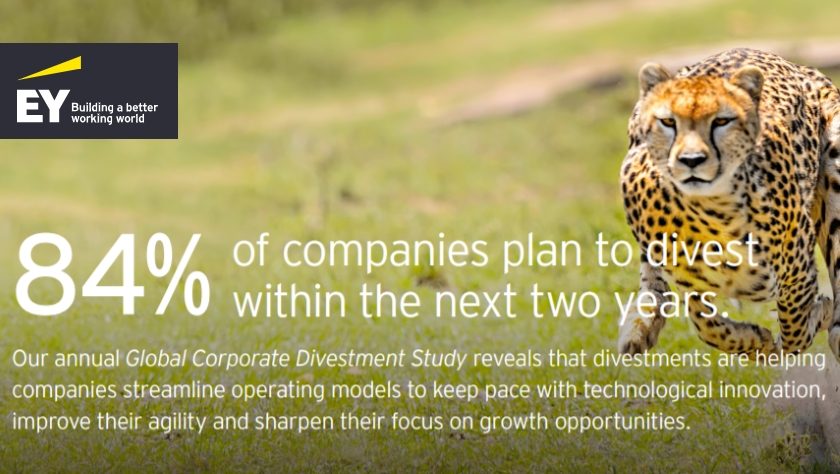 Global Corporate Divestment Study