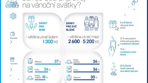 Průzkum - Vánoční nákupy - PayPal