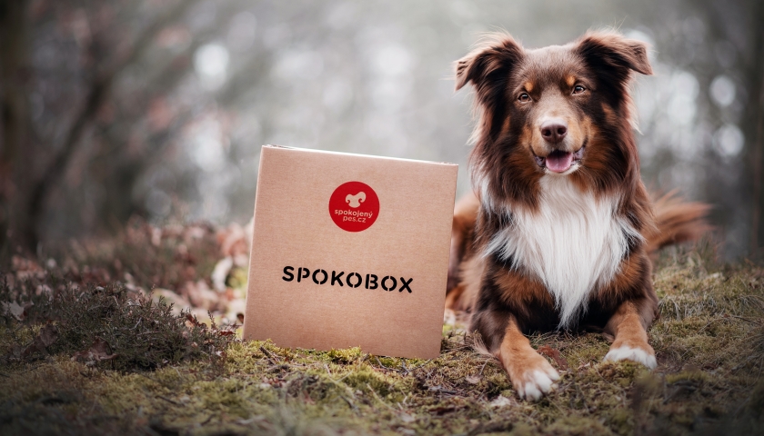 Spokobox