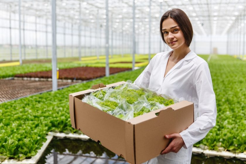 greenhouse food B2BNN