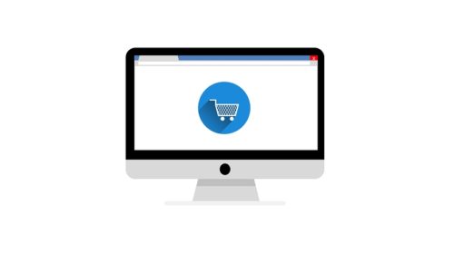 online shopping pruzkum